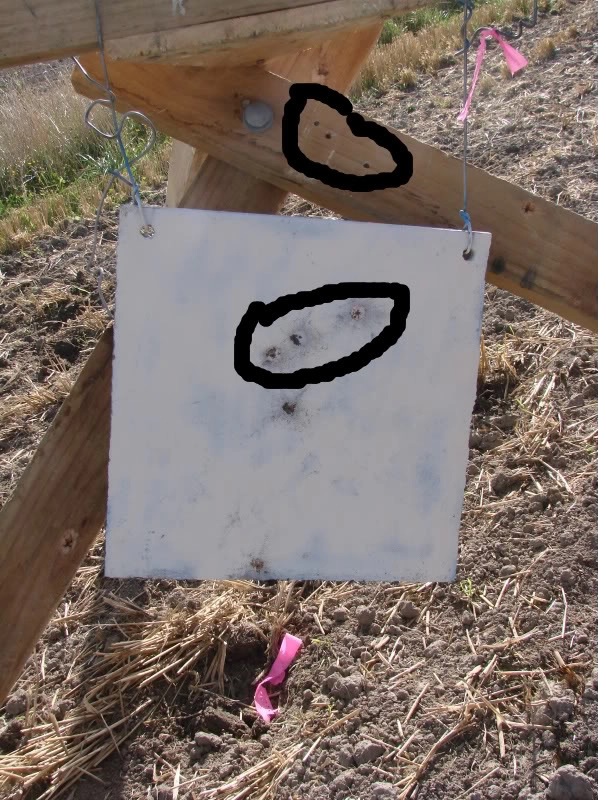 Name:  Long shots.jpg
Views: 463
Size:  205.2 KB