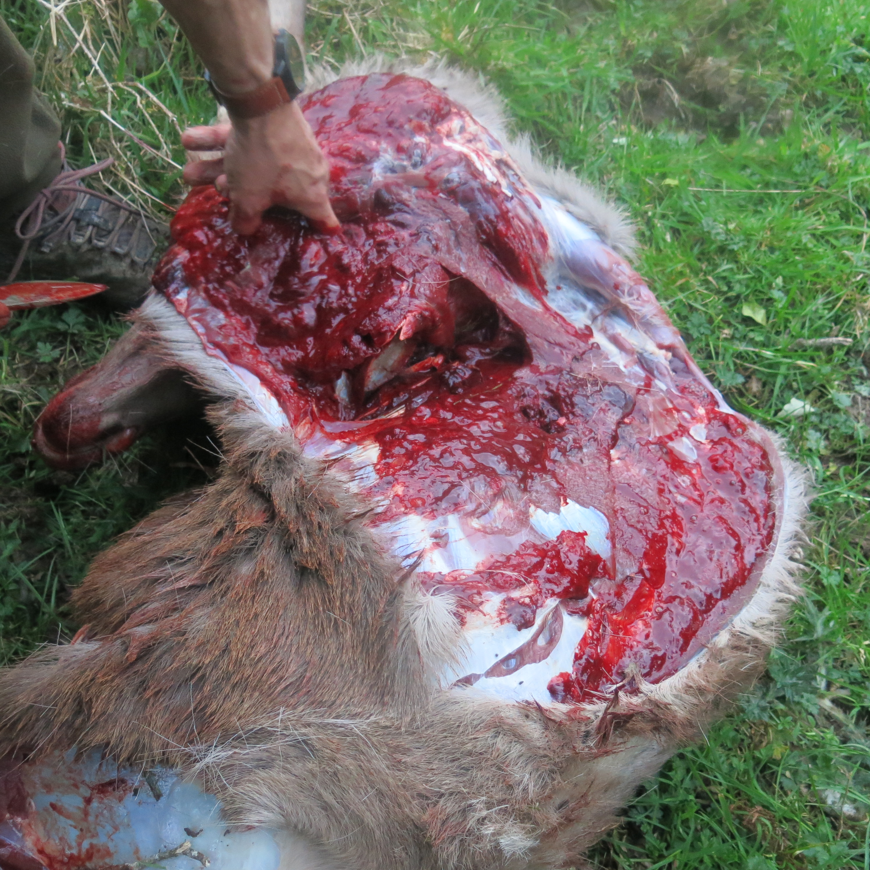 Name:  IMG_1356.jpg
Views: 427
Size:  3.04 MB