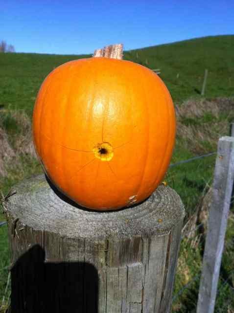 Name:  ImageUploadedByTapatalk1376043139.631311.jpg
Views: 2739
Size:  46.3 KB