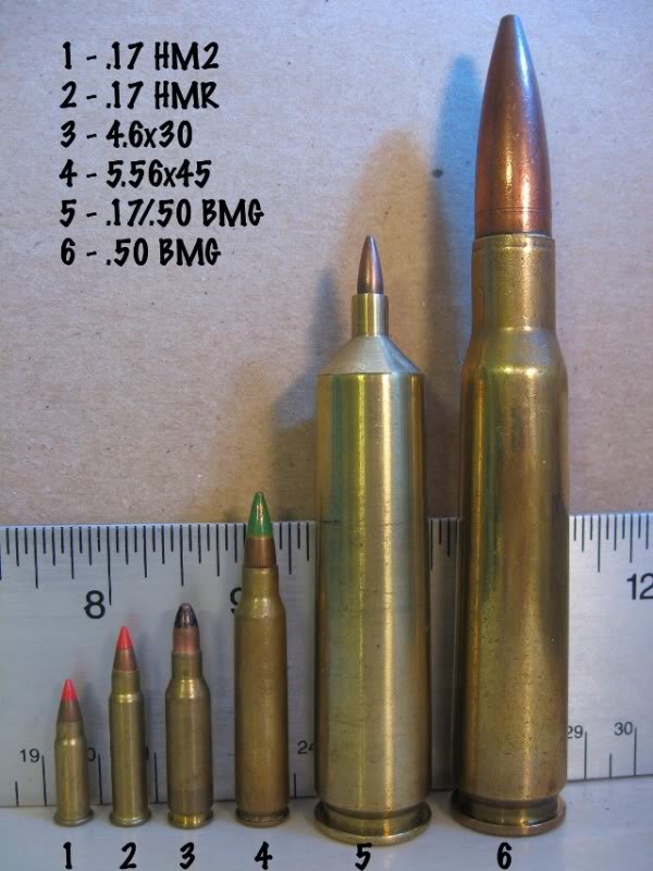 Name:  1750bmg.jpg
Views: 6628
Size:  72.7 KB