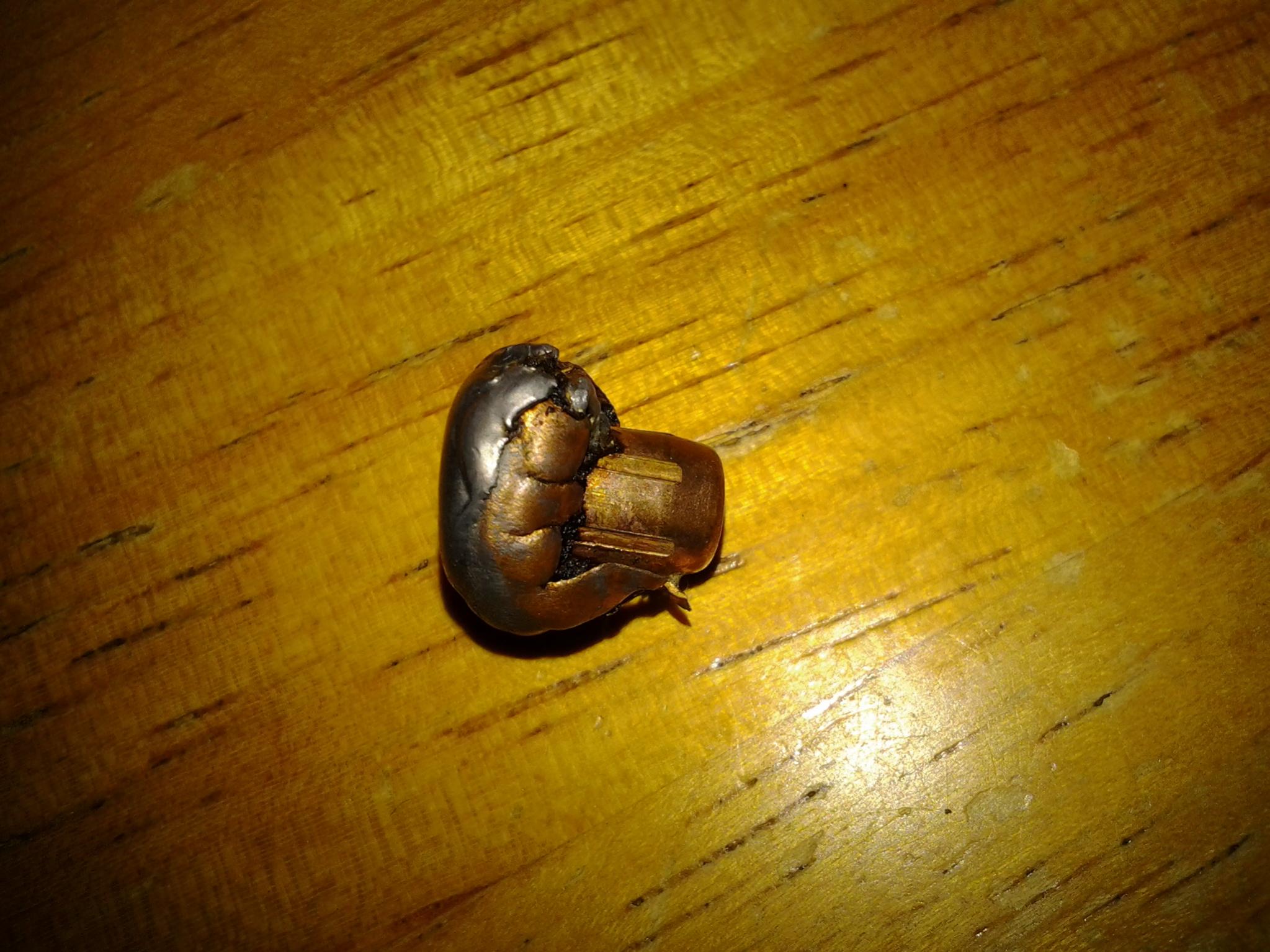 Name:  10pointstag@375yards.jpg
Views: 1071
Size:  328.6 KB