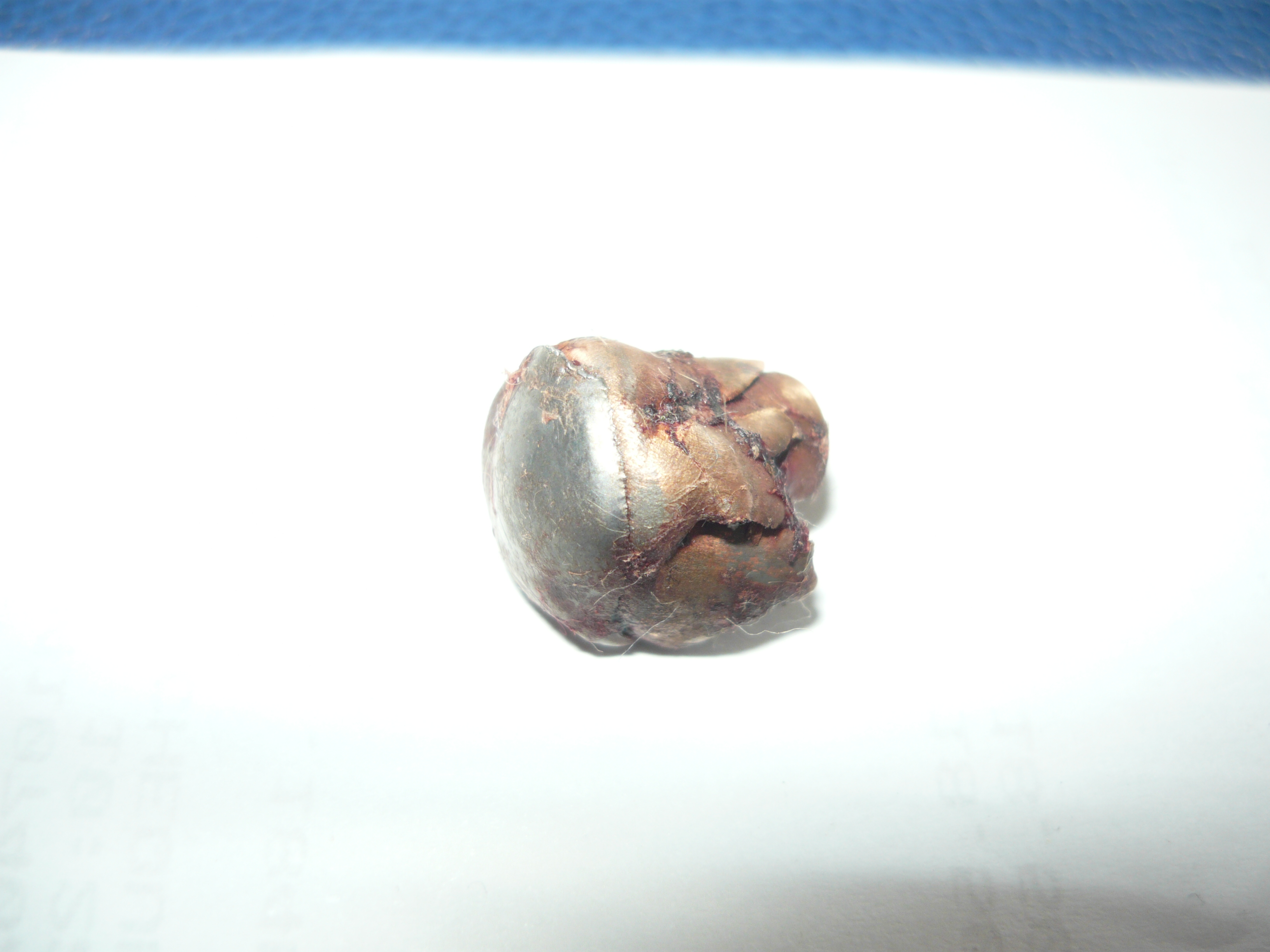 Name:  Side view of 143 gr ELD X from Big Sambar 89.4 grs.JPG
Views: 395
Size:  1.15 MB