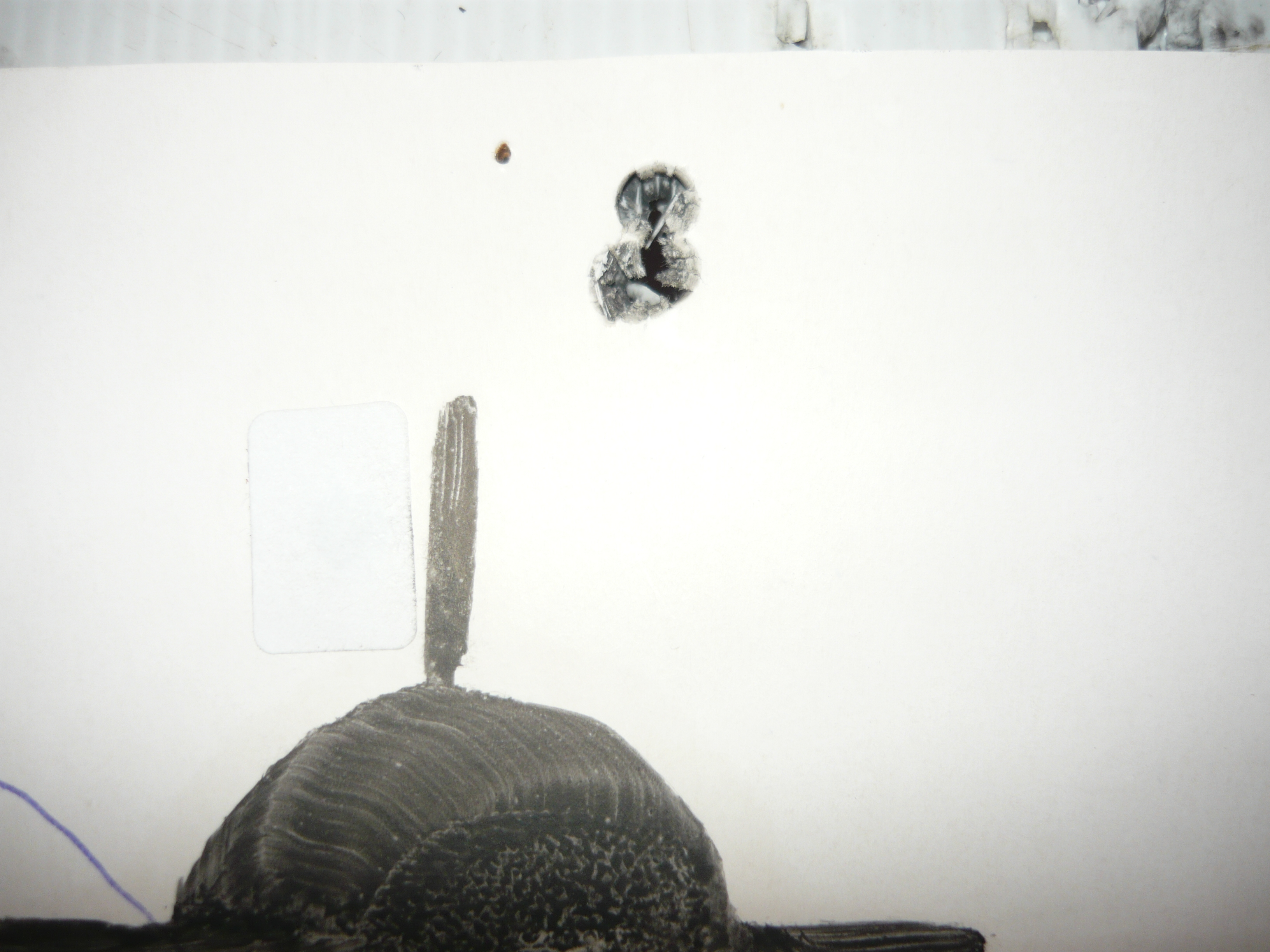 Name:  Quater inch 3 shot group with 6.5x55 @100 yds.JPG
Views: 407
Size:  2.35 MB