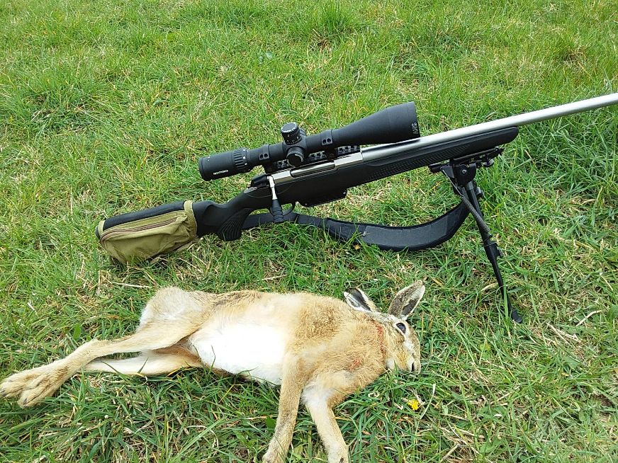 Name:  Hare Hunting 1.jpg
Views: 292
Size:  238.5 KB