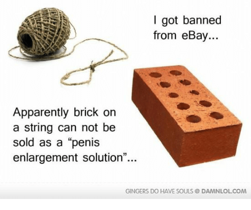 Name:  i-got-banned-from-ebay-apparently-brick-on-a-string-16912412.png
Views: 265
Size:  83.7 KB