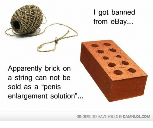 Name:  i-got-banned-from-ebay-apparently-brick-on-a-string-16912412.png
Views: 284
Size:  83.7 KB