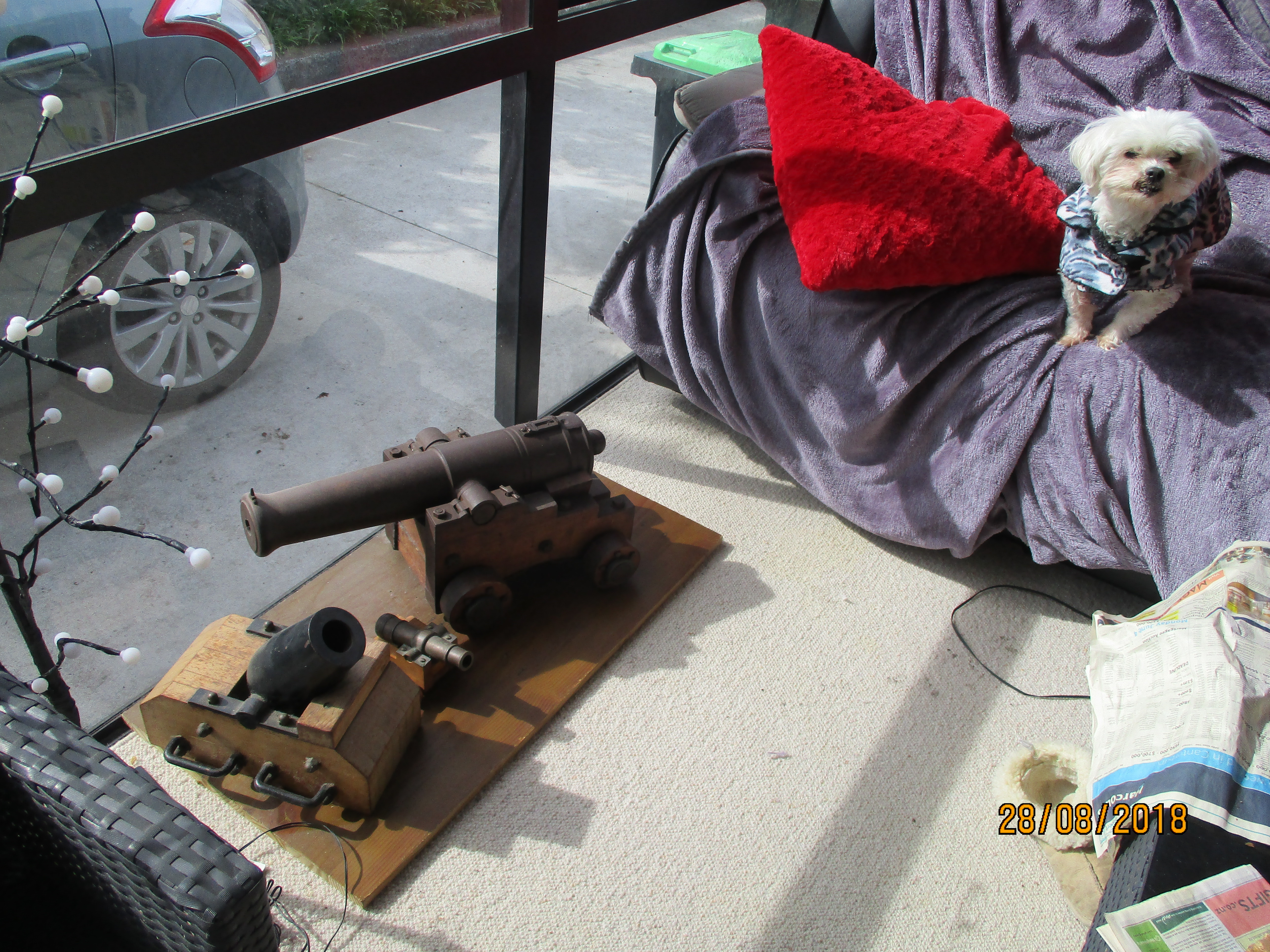 Name:  IMG_1262.JPG
Views: 462
Size:  6.31 MB