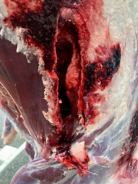 Name:  IMG_3218.jpg
Views: 558
Size:  111.5 KB