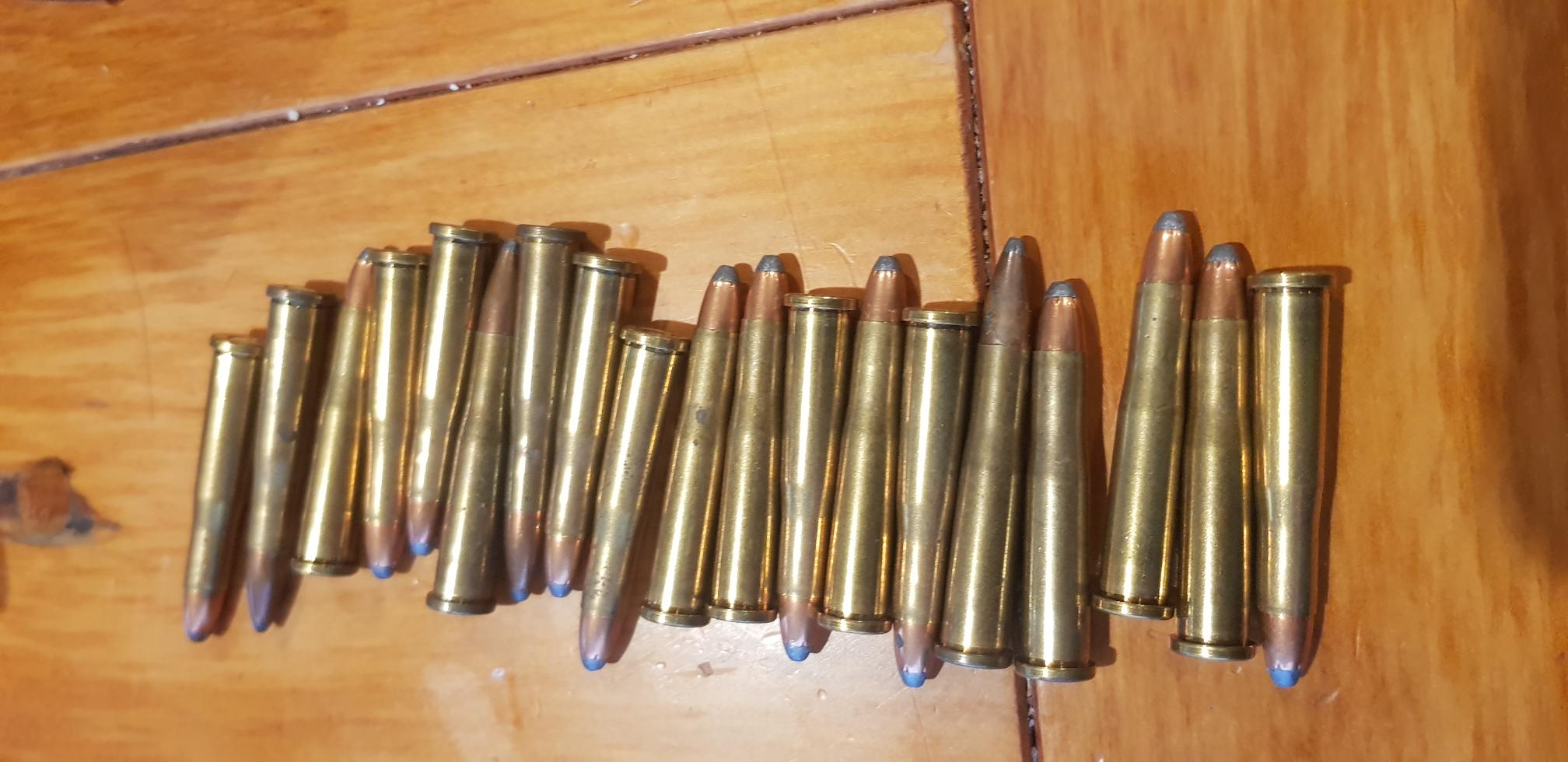 Name:  22 hornet rounds.jpg
Views: 218
Size:  177.4 KB