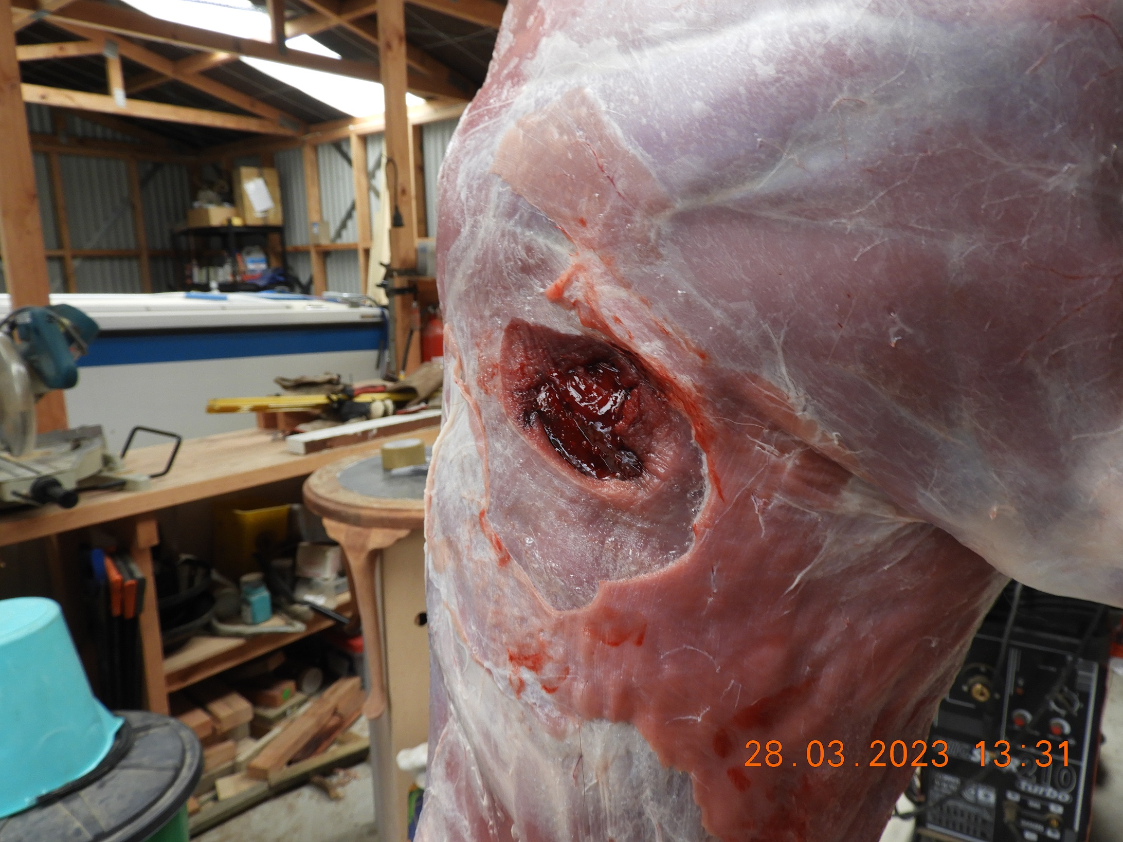 Name:  DSCN1431.JPG
Views: 404
Size:  930.7 KB