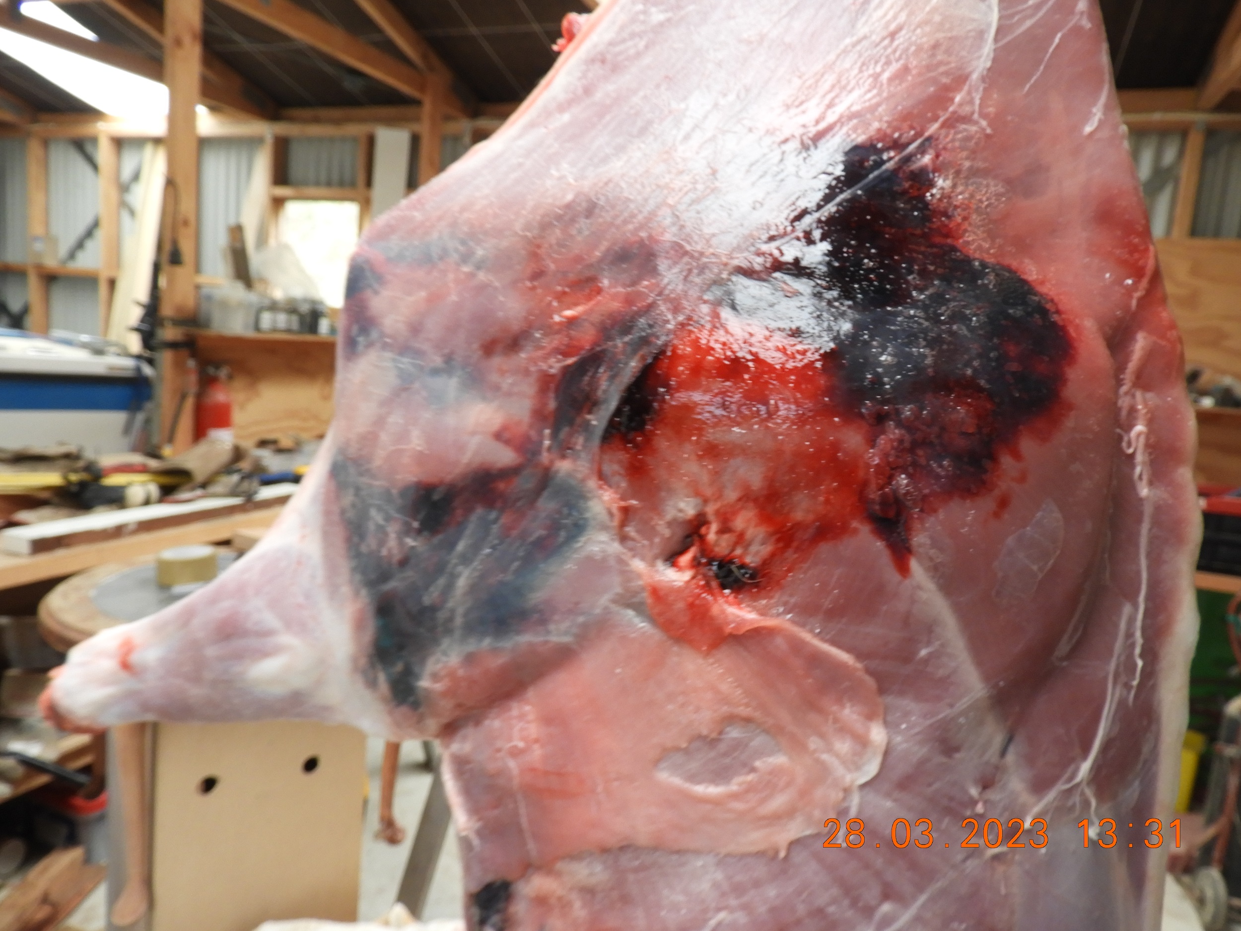 Name:  DSCN1432.JPG
Views: 410
Size:  1.04 MB