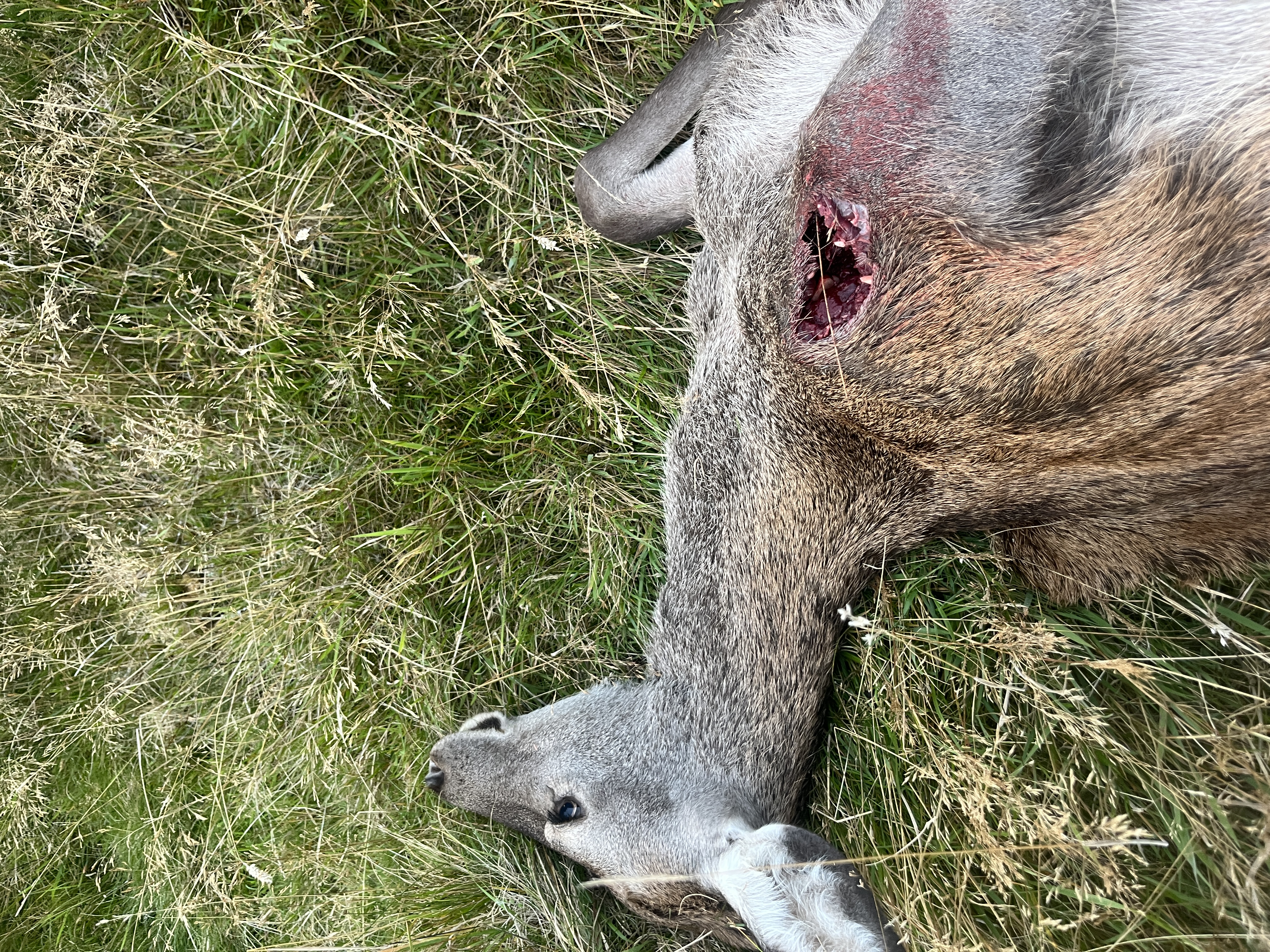 Name: IMG_6302.JPG
Views: 264
Size: 6.94 MB