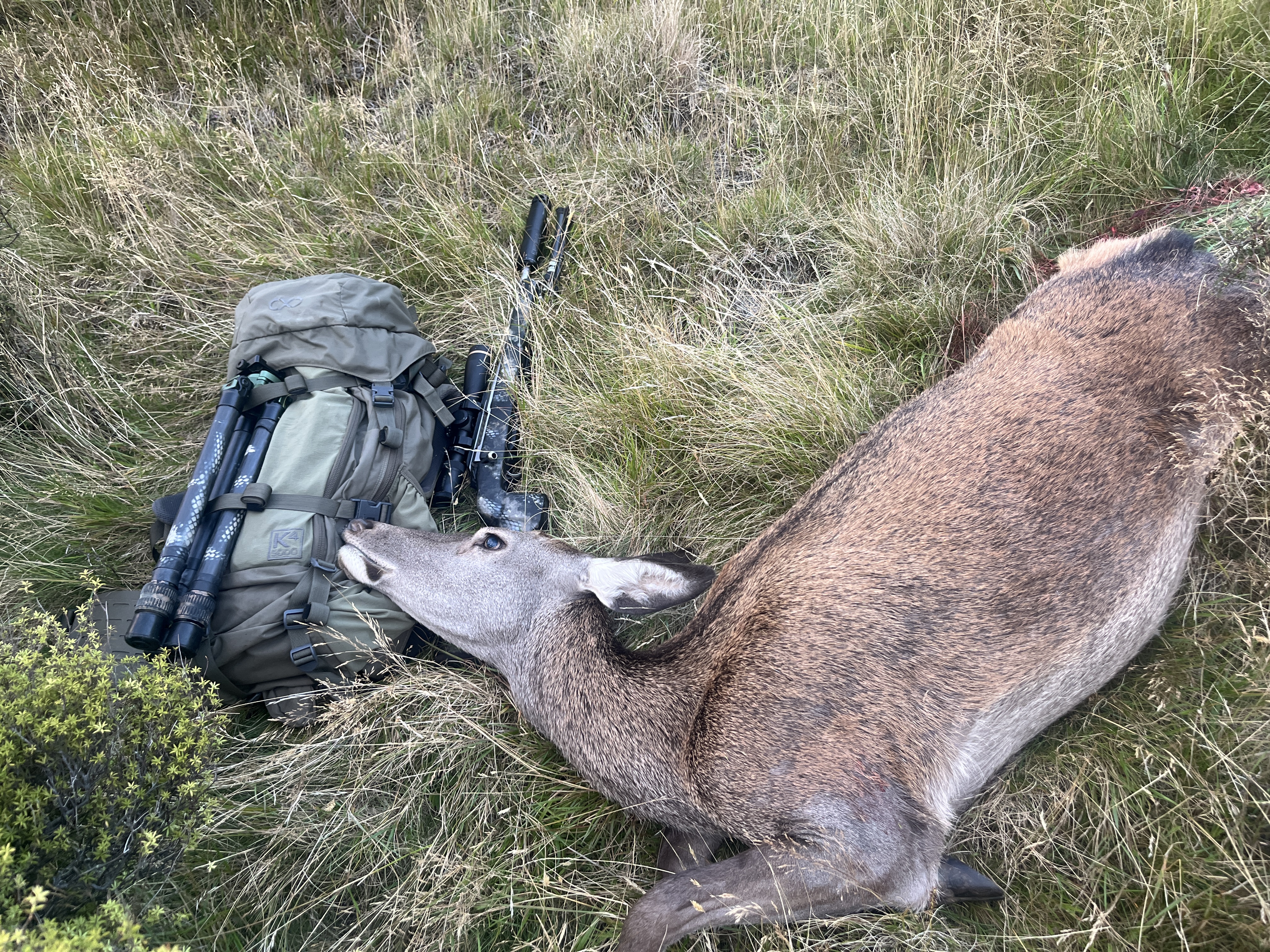 Name: IMG_6293.JPG
Views: 272
Size: 6.98 MB