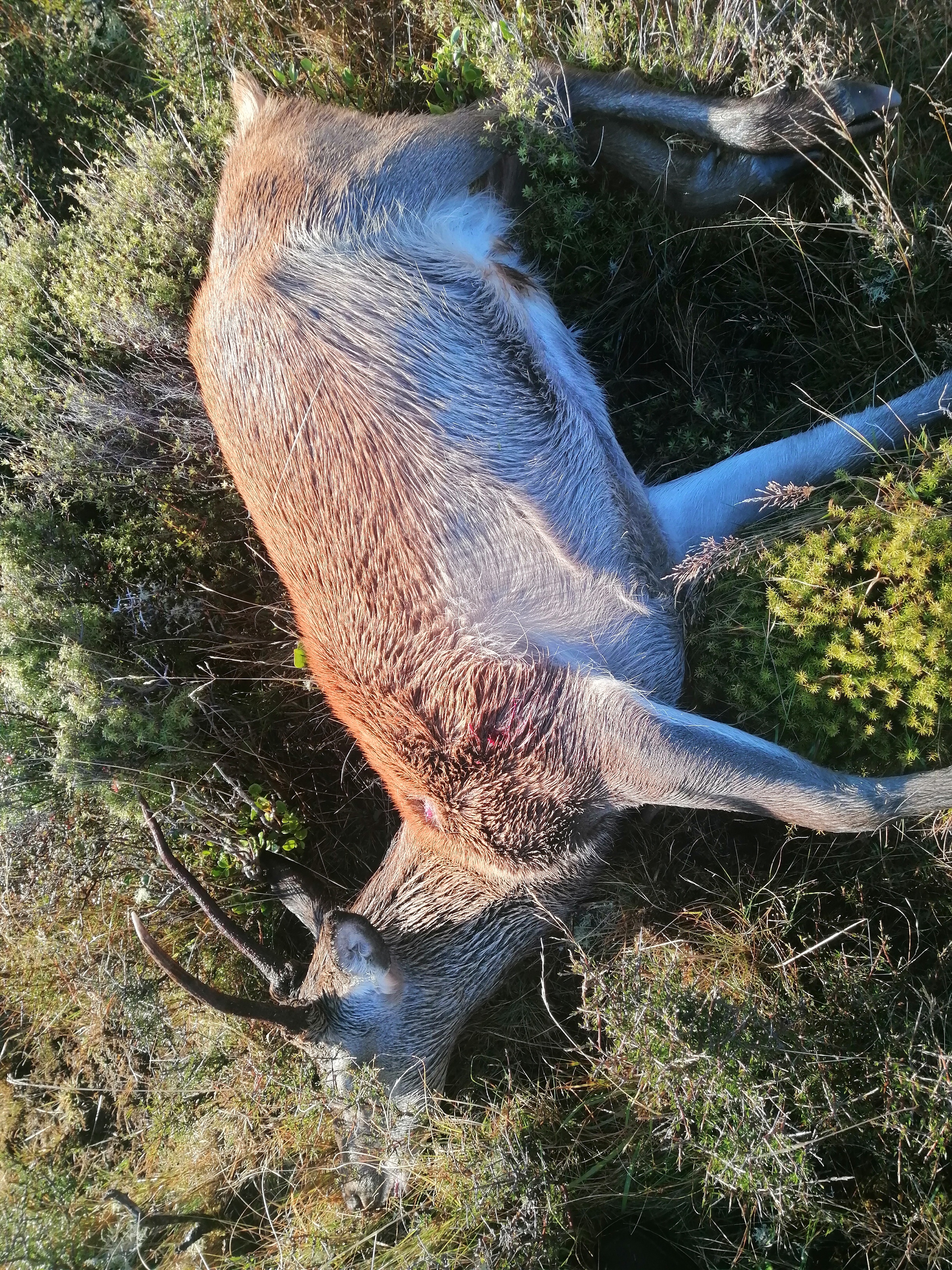 Name: IMG_20210317_080132.jpg
Views: 200
Size: 5.50 MB