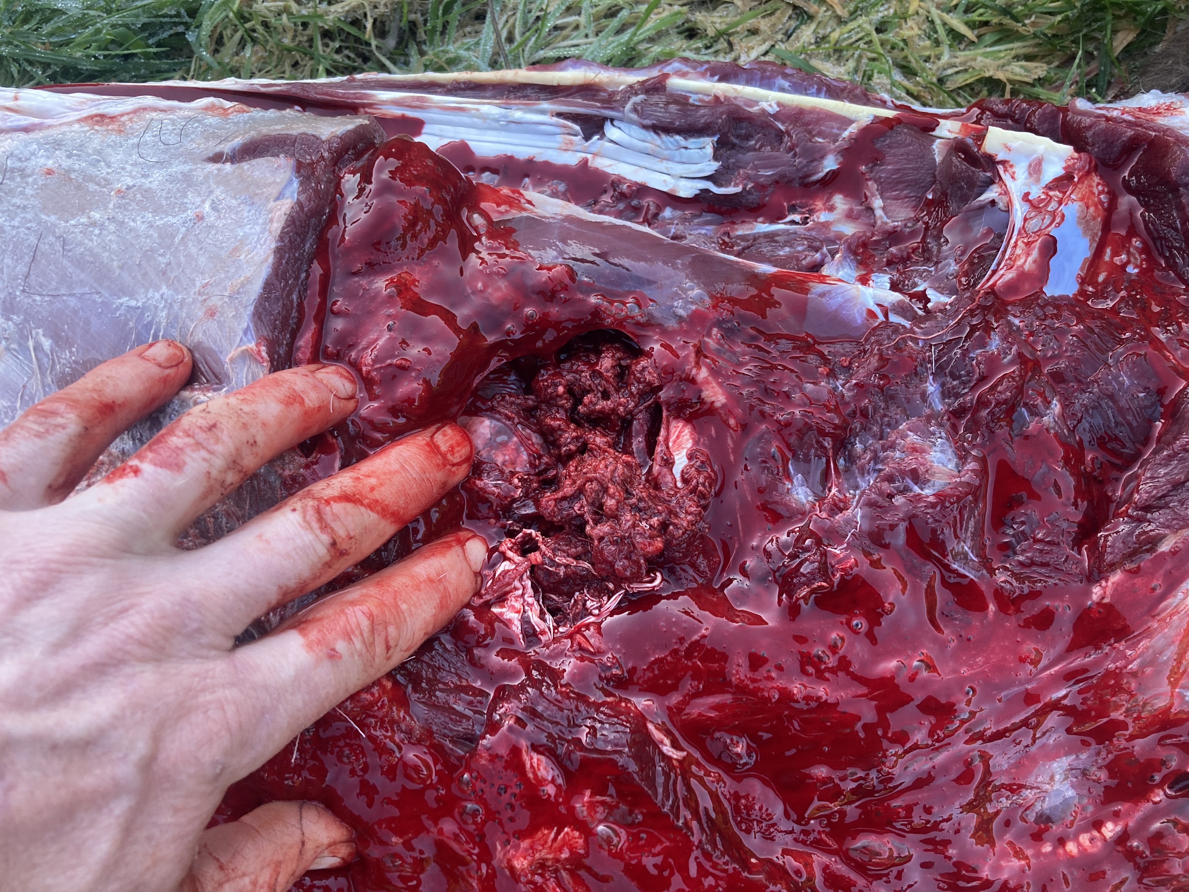 Name: IMG_1920.jpeg
Views: 194
Size: 3.51 MB