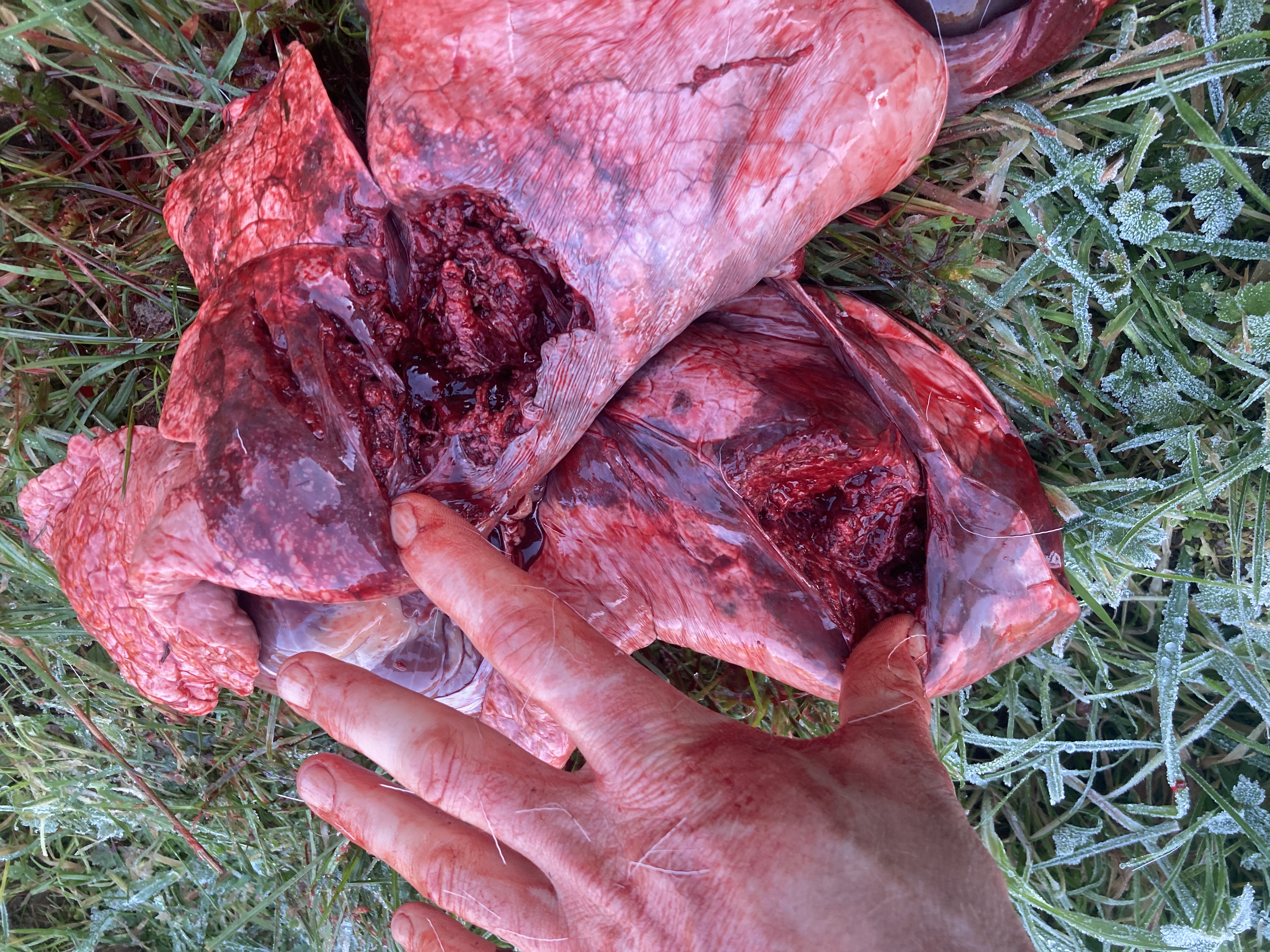 Name: IMG_1922.jpeg
Views: 187
Size: 3.98 MB