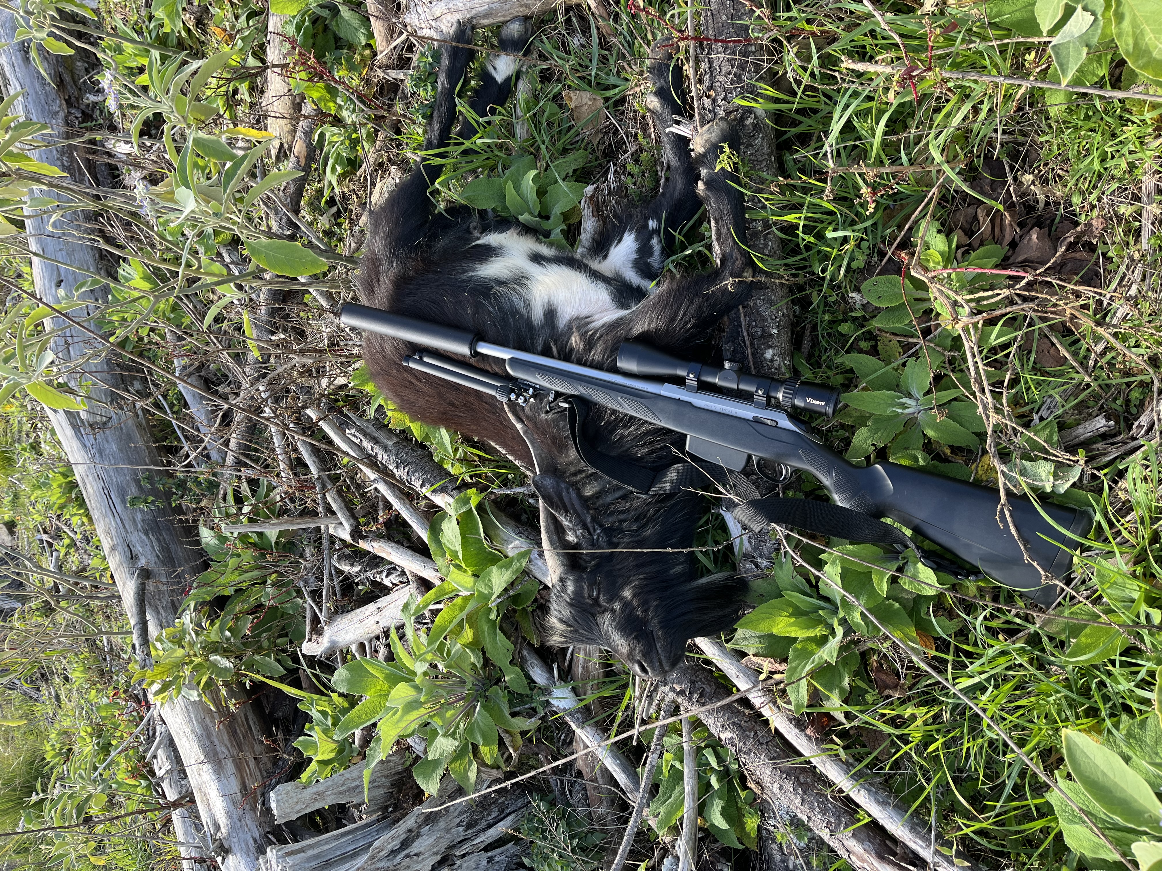 Name:  IMG_6726.jpeg
Views: 208
Size:  6.08 MB