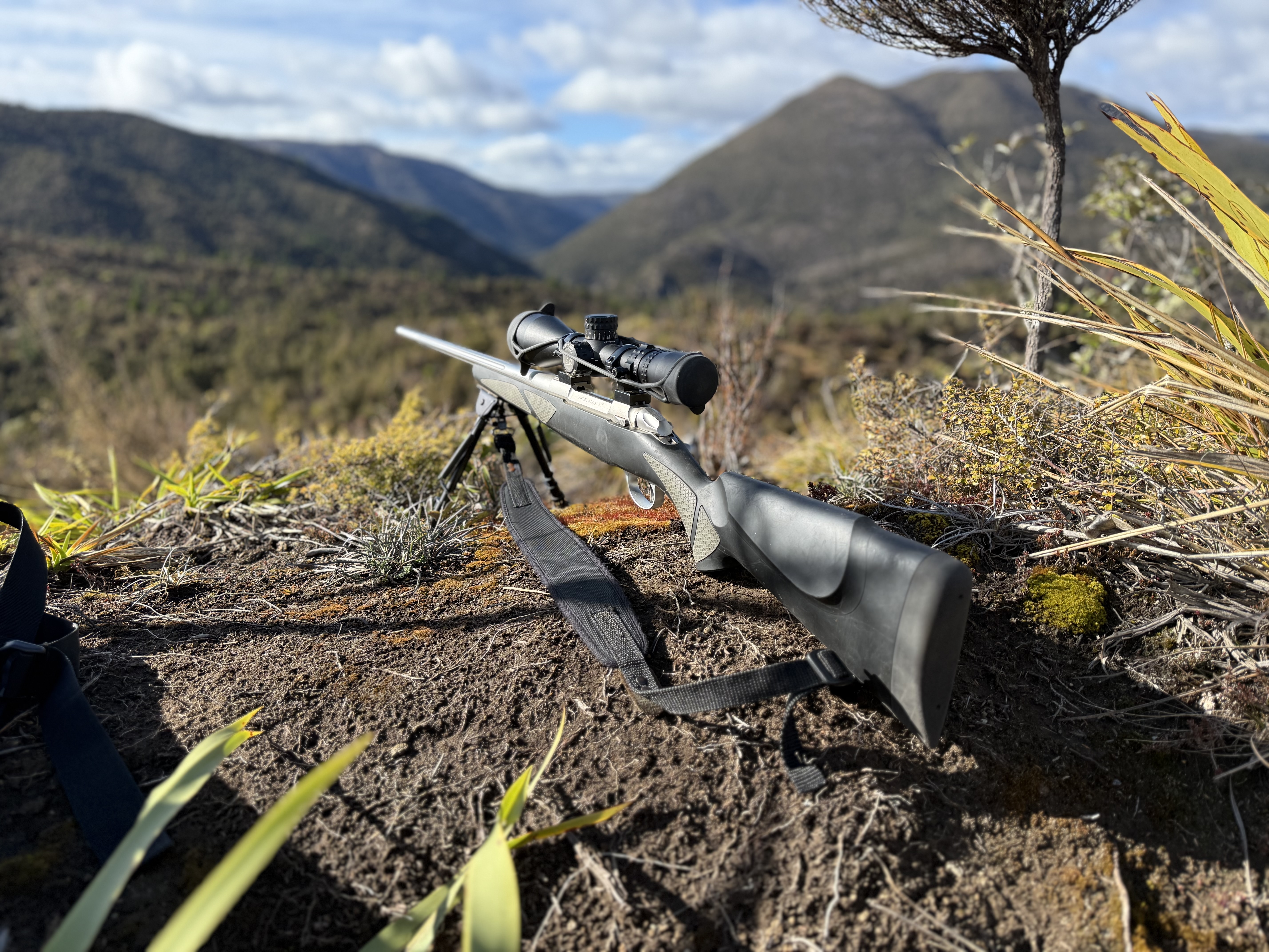 Name:  IMG_9535.jpeg
Views: 358
Size:  5.38 MB