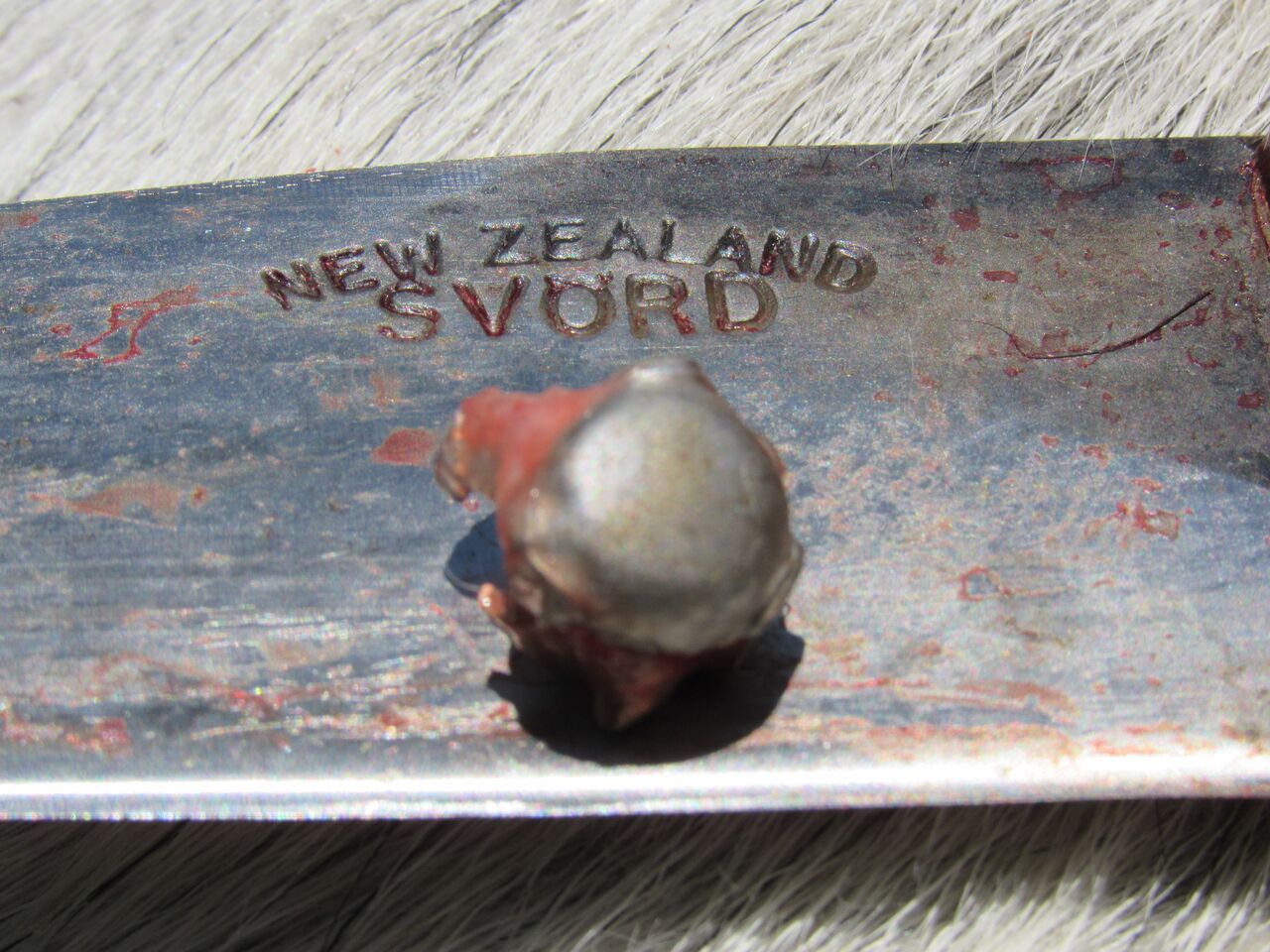 Name:  hornady.jpg
Views: 250
Size:  201.6 KB
