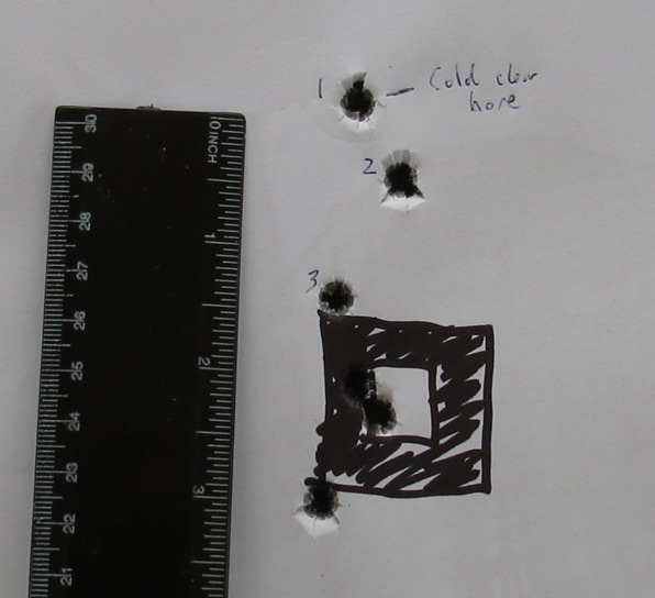 Name:  Blaser 7mm mag target.jpg
Views: 606
Size:  69.6 KB