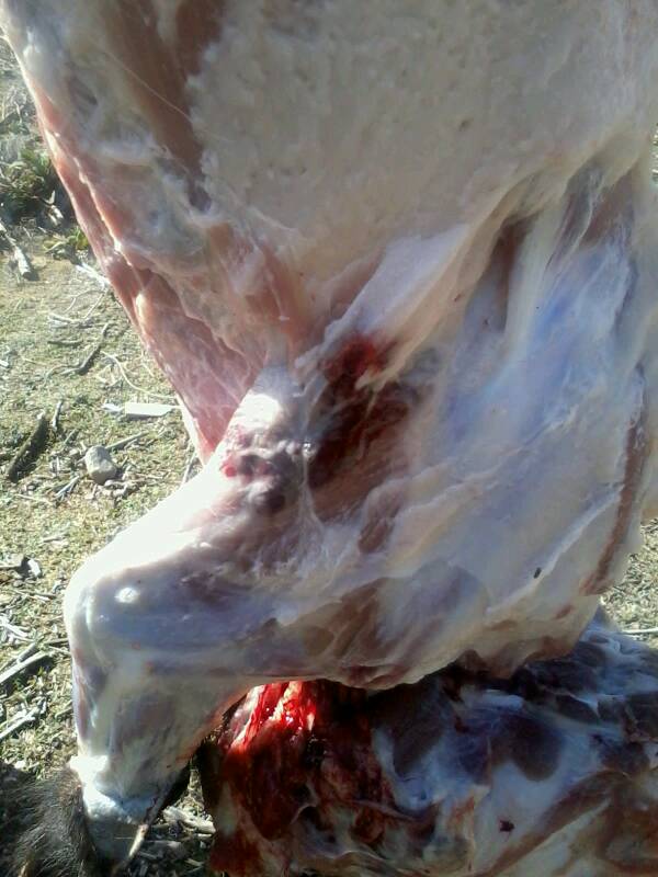Name:  uploadfromtaptalk1362805448503.jpg
Views: 1339
Size:  61.0 KB