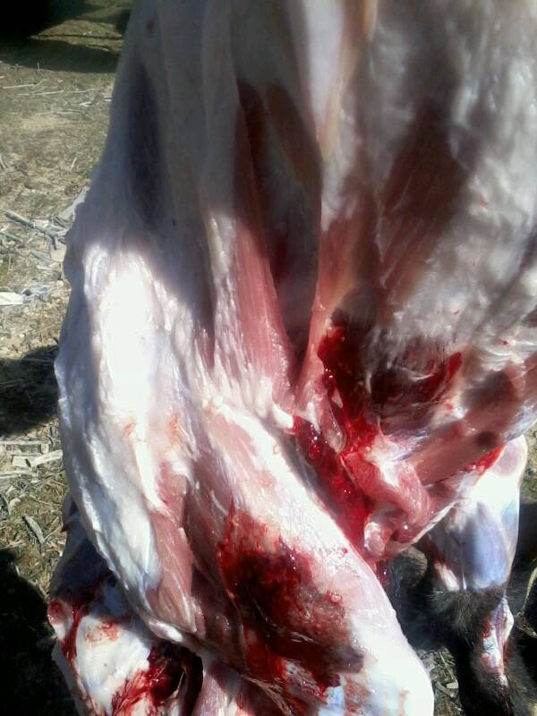 Name:  uploadfromtaptalk1362805482959.jpg
Views: 1406
Size:  61.6 KB