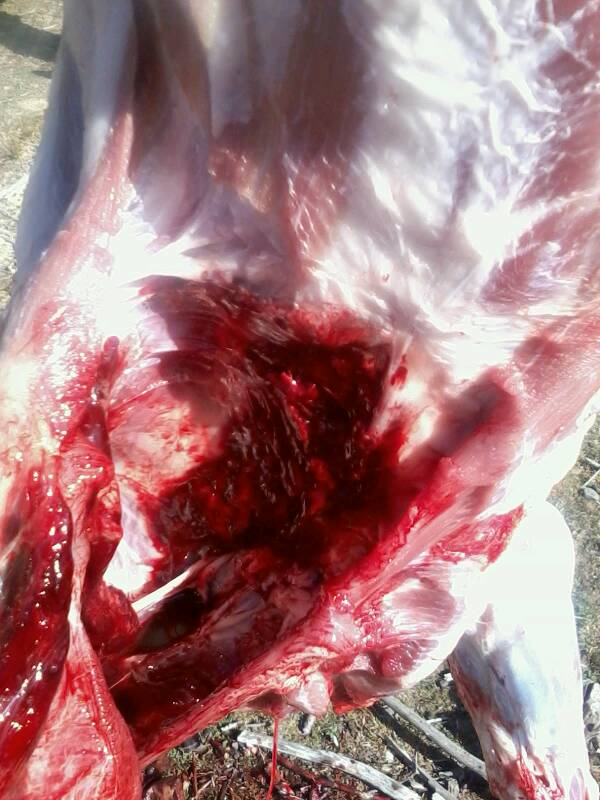 Name:  uploadfromtaptalk1362805508507.jpg
Views: 1386
Size:  71.4 KB