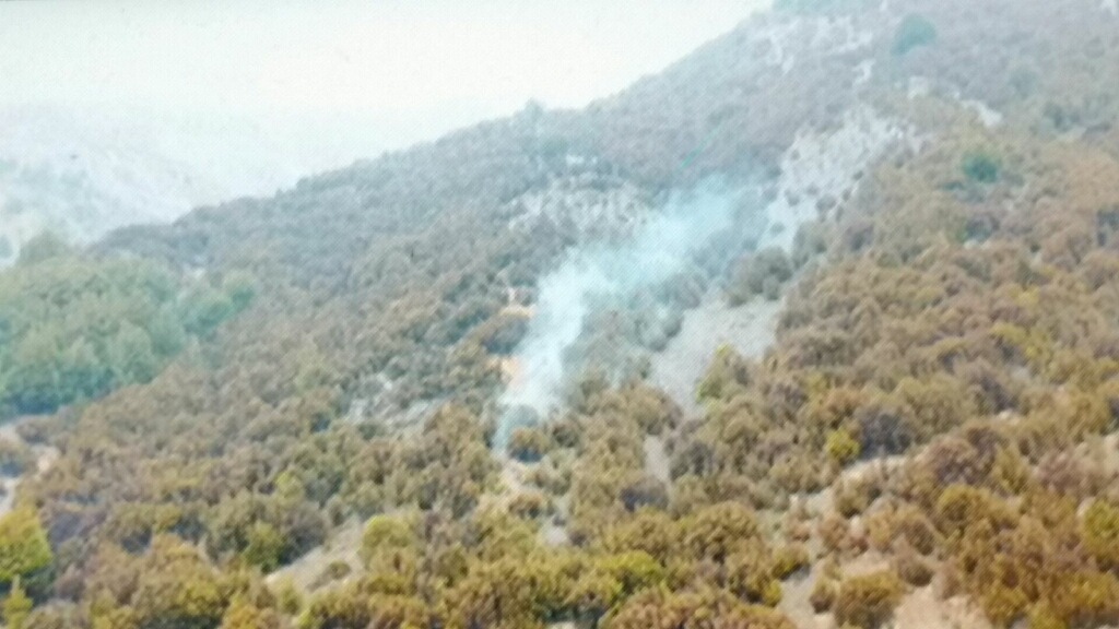 Name:  black powder smoke.jpg
Views: 339
Size:  144.5 KB