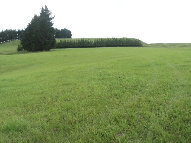 Name:  picture 01 2225.jpg
Views: 628
Size:  165.2 KB