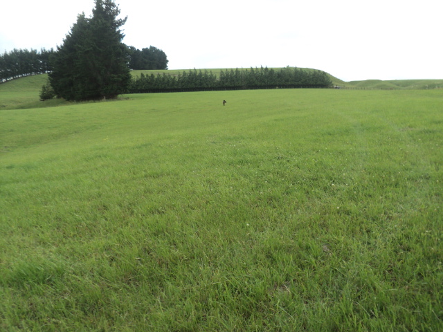 Name:  picture 01 2226.jpg
Views: 704
Size:  163.8 KB
