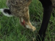 Name:  IMG_0219.JPG
Views: 529
Size:  15.8 KB