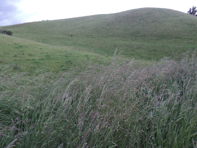 Name:  picture 01 2271.jpg
Views: 170
Size:  163.7 KB