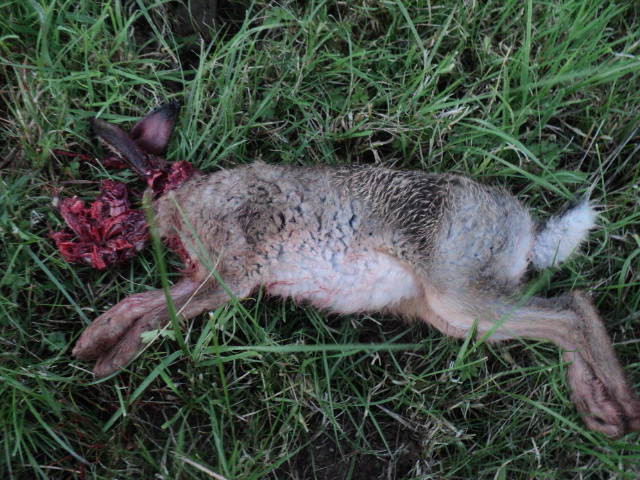 Name:  picture 01 2278.jpg
Views: 344
Size:  163.4 KB