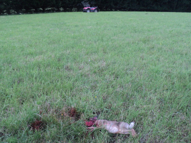 Name:  picture 01 2279.jpg
Views: 321
Size:  163.0 KB