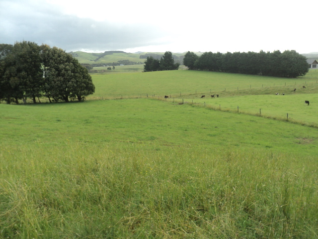 Name:  picture 01 2280.jpg
Views: 251
Size:  164.9 KB