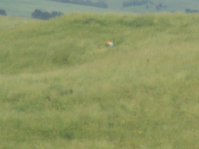 Name:  picture 01 2340.jpg
Views: 265
Size:  164.0 KB