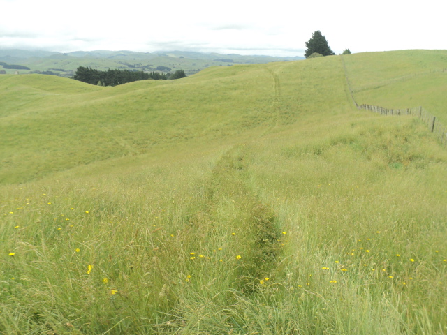 Name:  picture 01 2341.jpg
Views: 273
Size:  165.0 KB