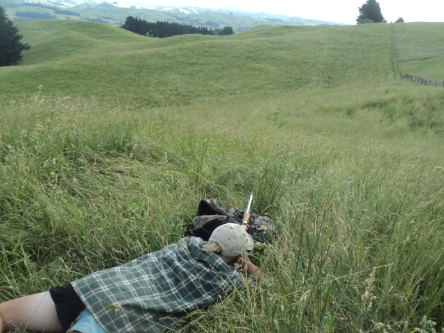 Name:  picture 01 2356.jpg
Views: 225
Size:  164.1 KB