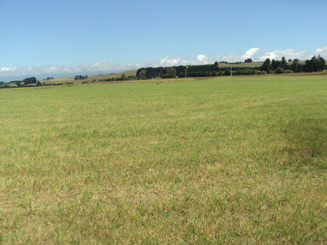 Name:  picture 01 2599.jpg
Views: 345
Size:  164.8 KB