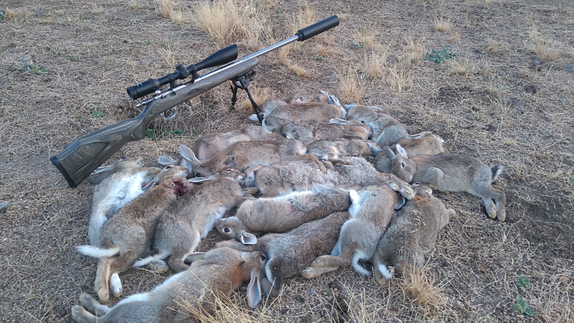 Name:  17 hmr gully 2019.JPG
Views: 330
Size:  1.33 MB