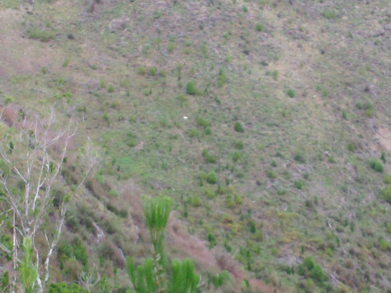 Name:  uploadfromtaptalk1370149912043.jpg
Views: 539
Size:  124.5 KB