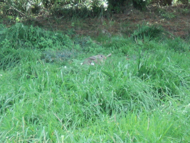 Name:  picture 1772.jpg
Views: 302
Size:  164.6 KB