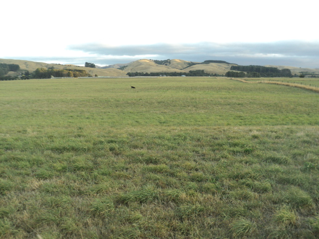 Name:  picture 01 2838.jpg
Views: 273
Size:  165.2 KB
