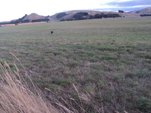 Name:  picture 01 2839.jpg
Views: 274
Size:  165.0 KB