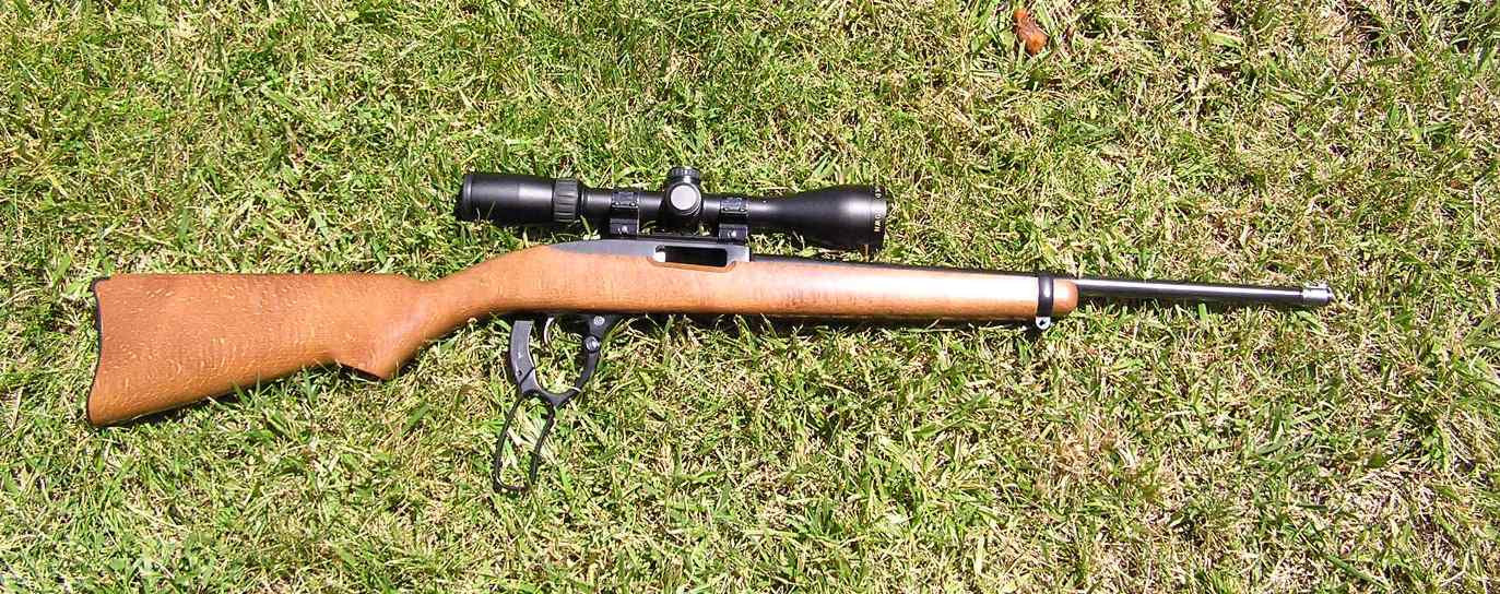Name:  Ruger 9617 .17HMR.jpg
Views: 4611
Size:  201.2 KB