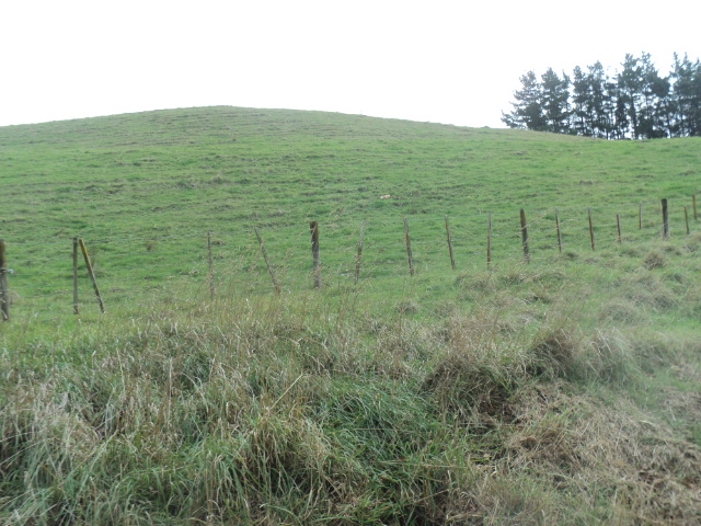 Name:  picture 01 3421.jpg
Views: 496
Size:  165.0 KB