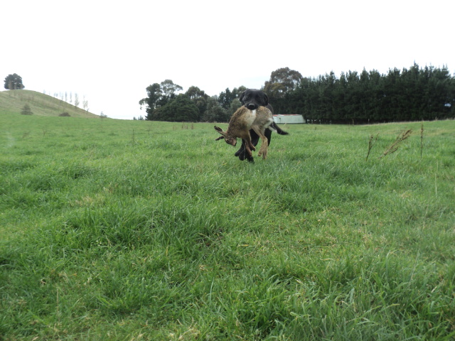 Name:  picture 01 3539.jpg
Views: 526
Size:  164.1 KB