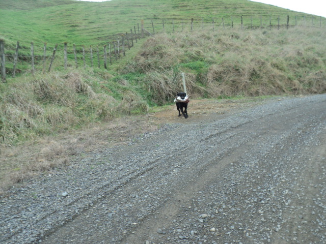 Name:  picture 01 3796.jpg
Views: 375
Size:  163.3 KB