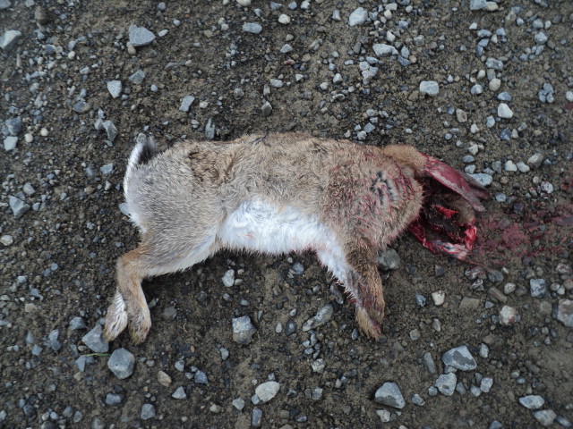 Name:  picture 01 3798.jpg
Views: 399
Size:  164.5 KB