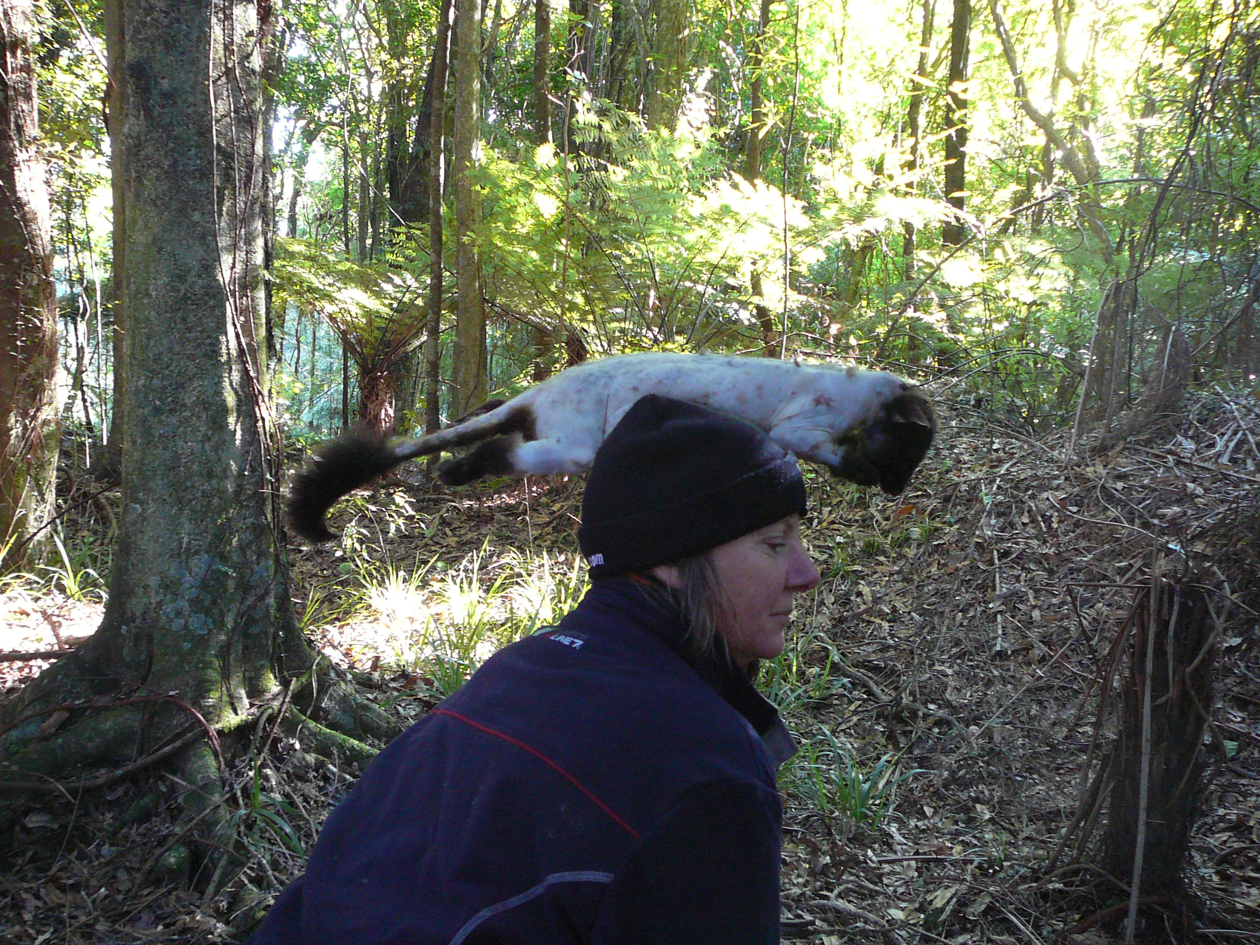 Name:  Picture 099.jpg
Views: 394
Size:  1.57 MB